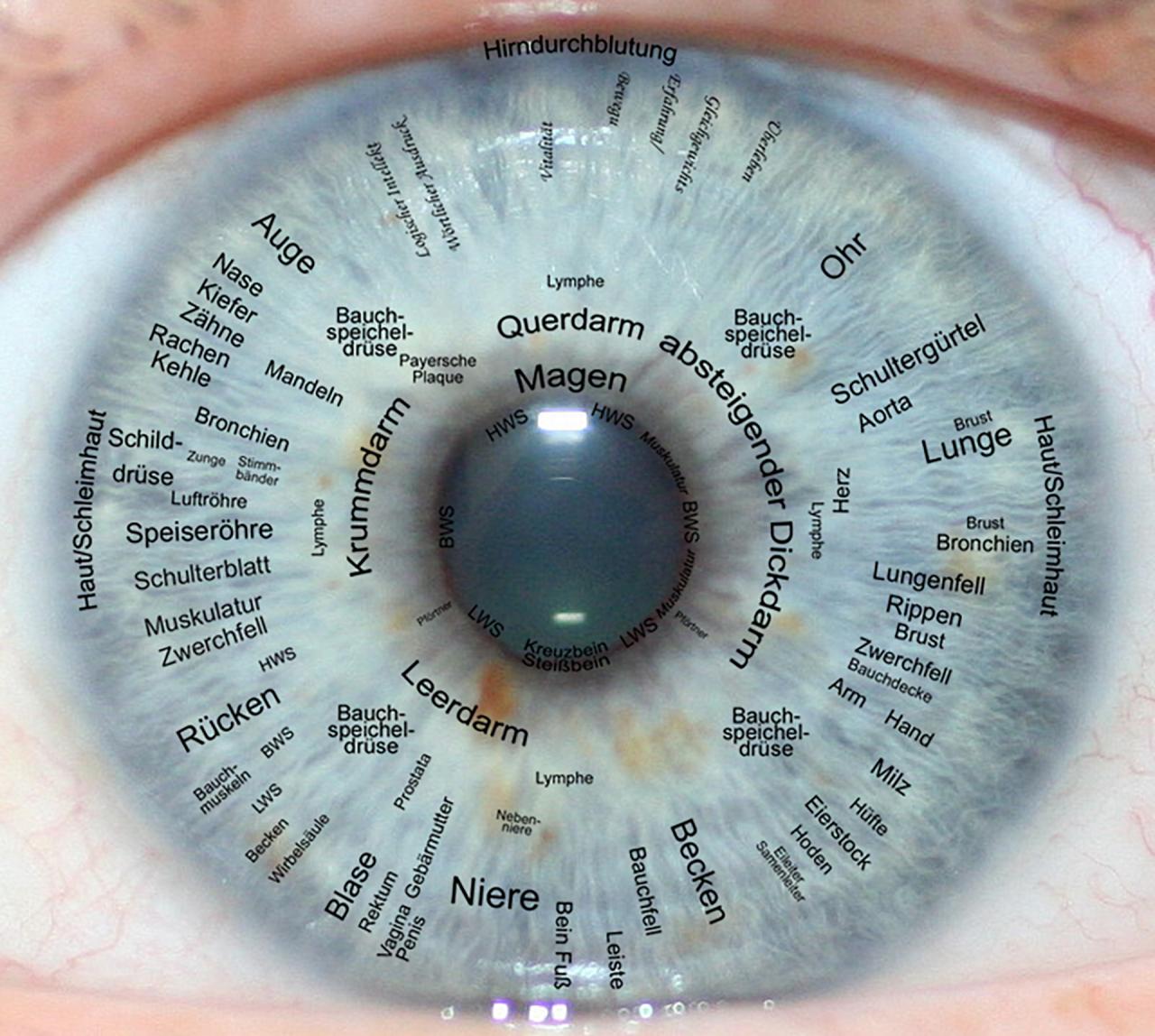 Das Geheimnis Deiner Augen